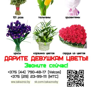 Доставка и продажа цветов,  горшочных растений,  композиций из цветов