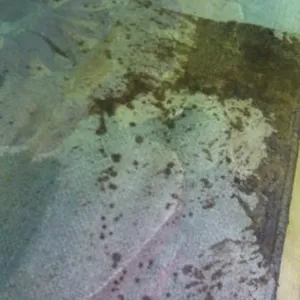 Химчистка ковров в гомле стирка ковров удаление запахов