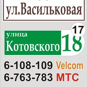 Табличка с названием улицы и номером дома Большевик