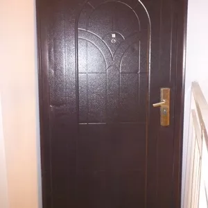 Дверь металлическая Браво с доставкой
