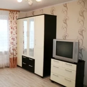 Однокомнатная квартира на сутки в Гомеле (19 мкр-н) Волотова