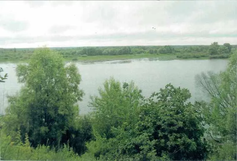 Дом возле реки Припять 5