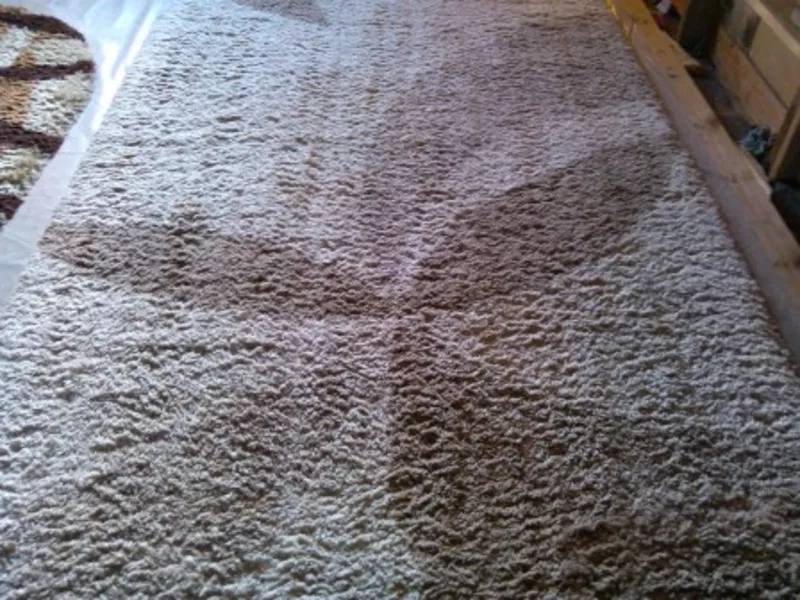 Химчистка ковров в гомле стирка ковров удаление запахов 2