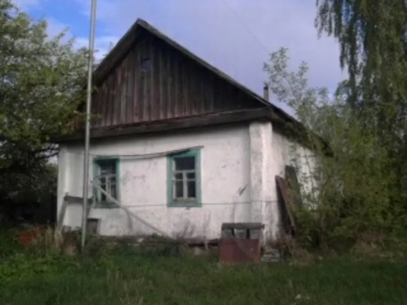 Земельный участок с домом в деревне Деражичи