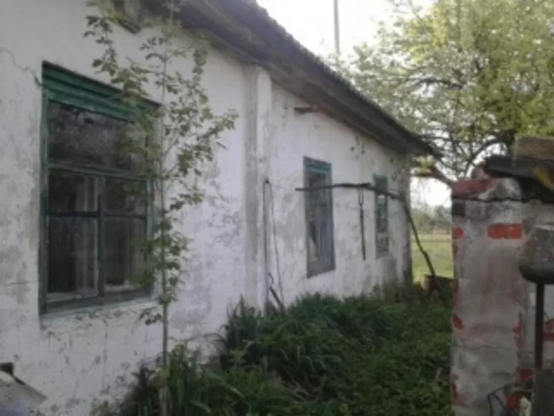 Земельный участок с домом в деревне Деражичи 2