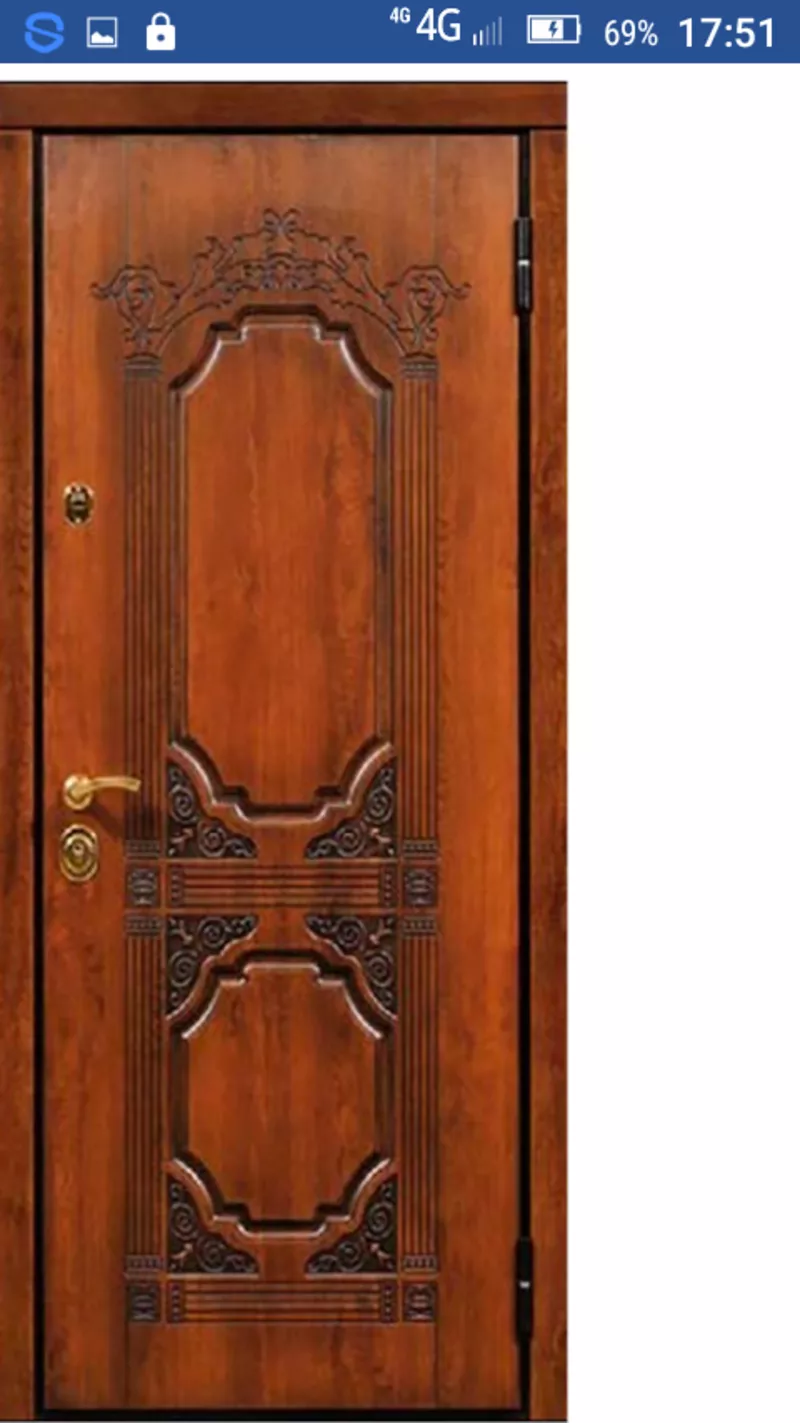 Двери входные и межкомнатные в Гомеле и области стальные и деревянные