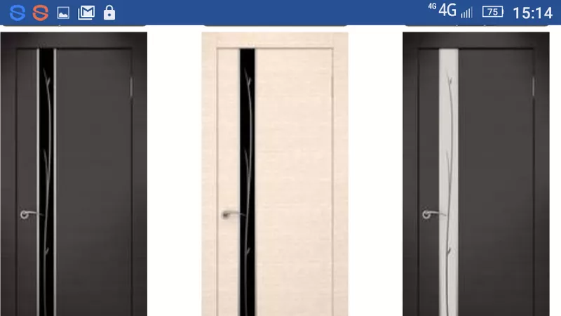 Двери входные и межкомнатные в Гомеле и области стальные и деревянные 8