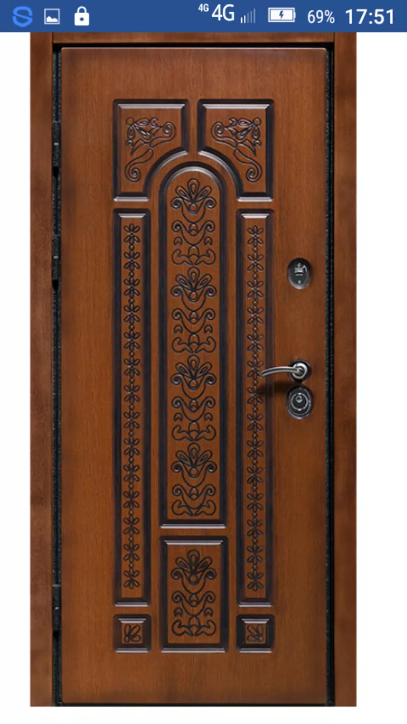 Двери входные и межкомнатные в Гомеле и области стальные и деревянные 11