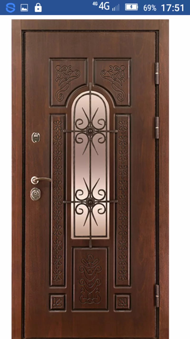 Двери входные и межкомнатные в Гомеле и области стальные и деревянные 12