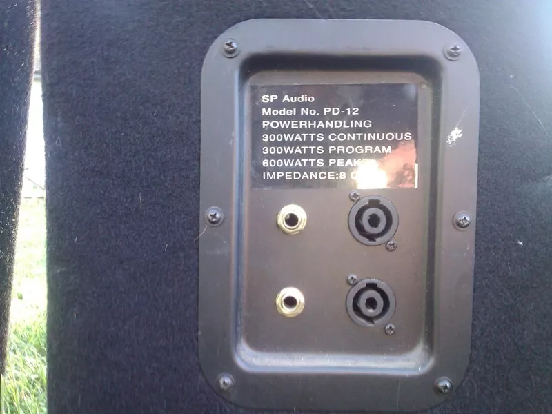 Колонки для репетиций по 300w SPAudio PD-12 2